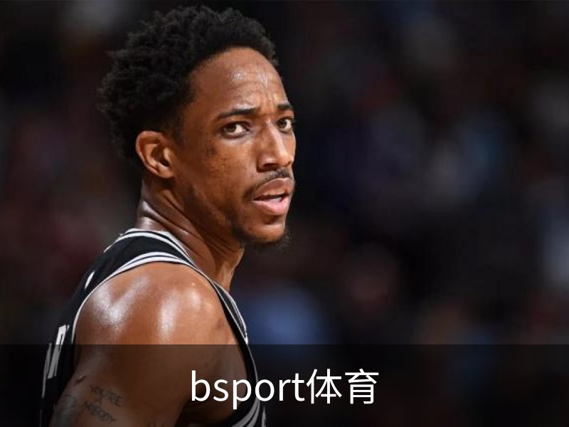 bsport体育概况